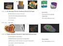 DEFAM-ZEISS Microscopy Seminar